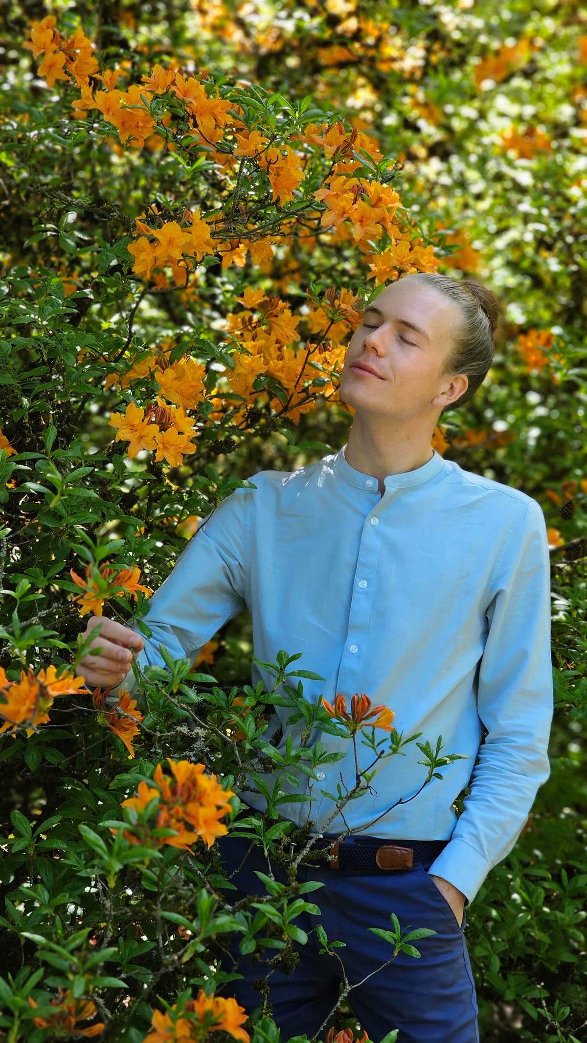 Jakob Nolte